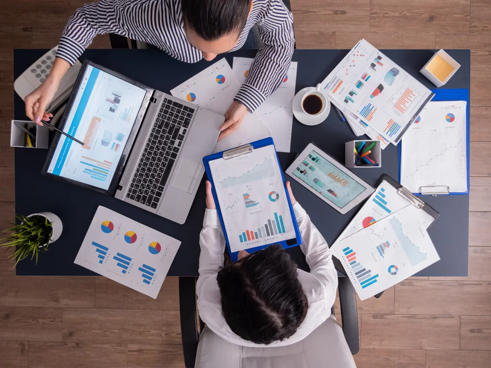 Software Consulting